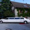 Werbebilder 978